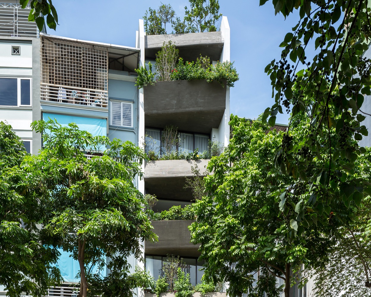 Phủ xanh căn nhà bằng cây giảm nóng hiệu quả